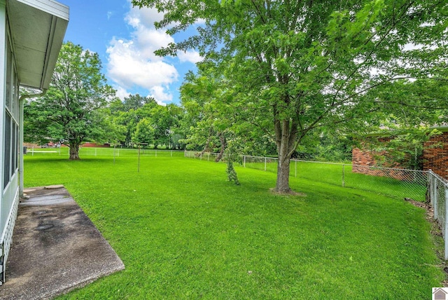 301 Tremont Dr, Hopkinsville, KY 42240 - view of fenced backyard