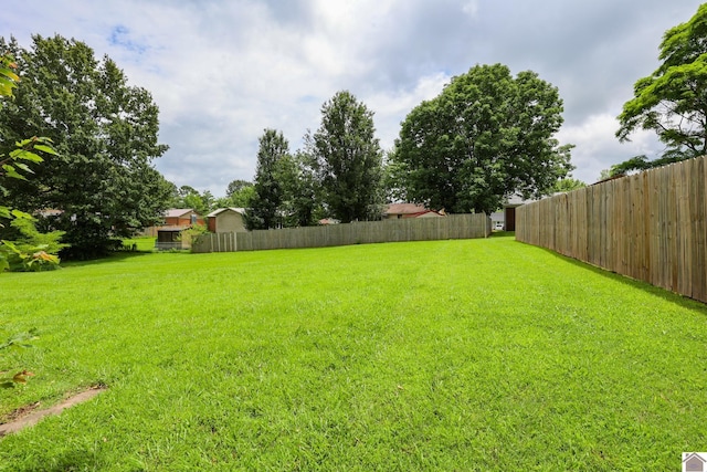 1040 Weda Cir, Mayfield, KY 42066 - view of yard