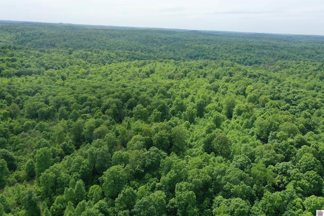 20715 Dawson Springs Rd, Dawson Springs, KY 42408 - bird's eye view of a heavily wooded area