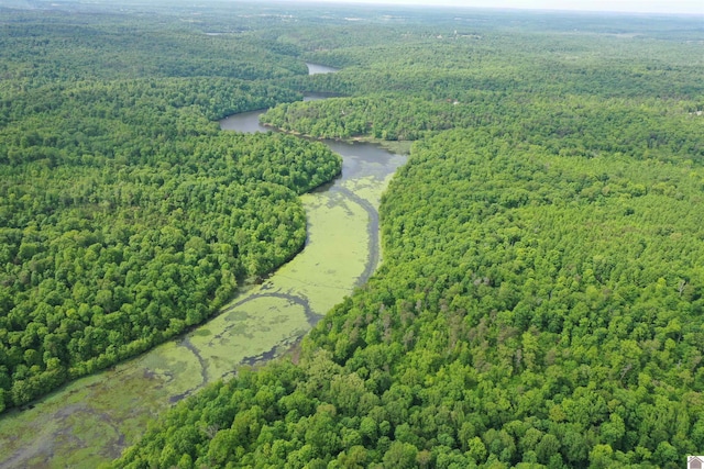 20715 Dawson Springs Rd, Dawson Springs, KY 42408 - aerial view of property and surrounding area with a forest and a large body of water