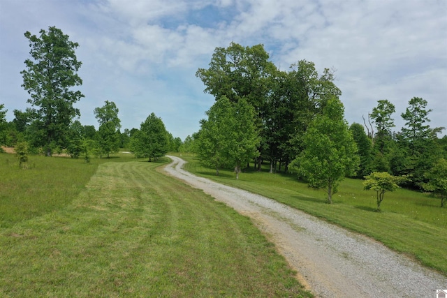 20715 Dawson Springs Rd, Dawson Springs, KY 42408 - view of road