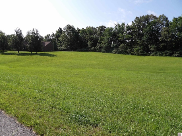 180-190 Deerfield Cir, Benton, KY 42025