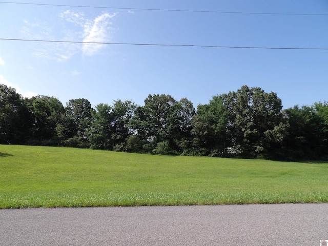 180-190 Deerfield Cir, Benton, KY 42025