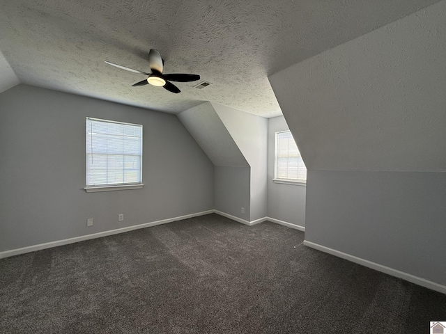 2042 Carneal Ln, Oak Grove, KY 42262 - additional living space featuring lofted ceiling, a ceiling fan, dark carpet, and a textured ceiling