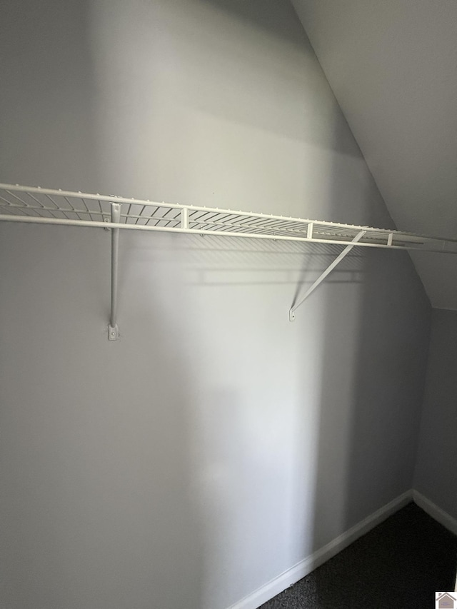 2042 Carneal Ln, Oak Grove, KY 42262 - walk in closet with lofted ceiling and carpet