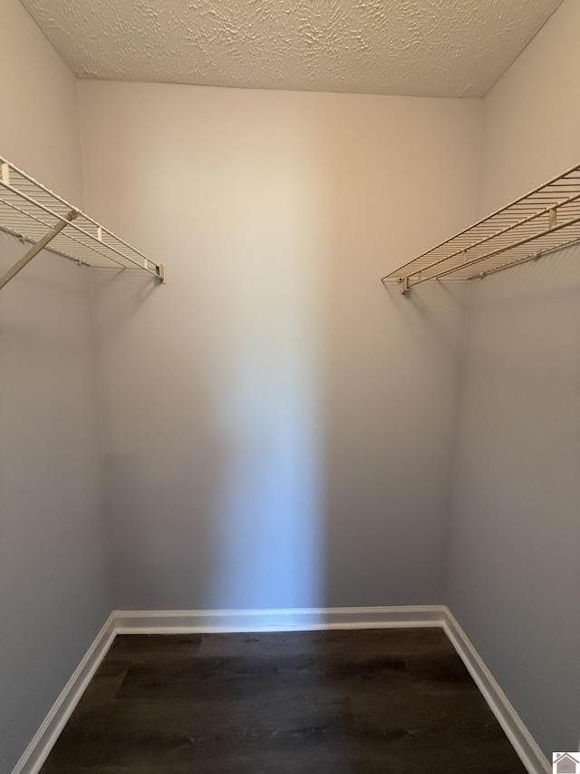 2042 Carneal Ln, Oak Grove, KY 42262 - walk in closet featuring dark wood-style flooring
