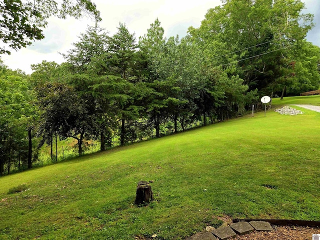 1040 Shine Ln, Cadiz, KY 42211 - view of grassy yard