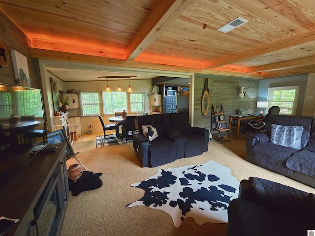 1040 Shine Ln, Cadiz, KY 42211 - living room with carpet, healthy amount of natural light, and a wood ceiling with exposed beams