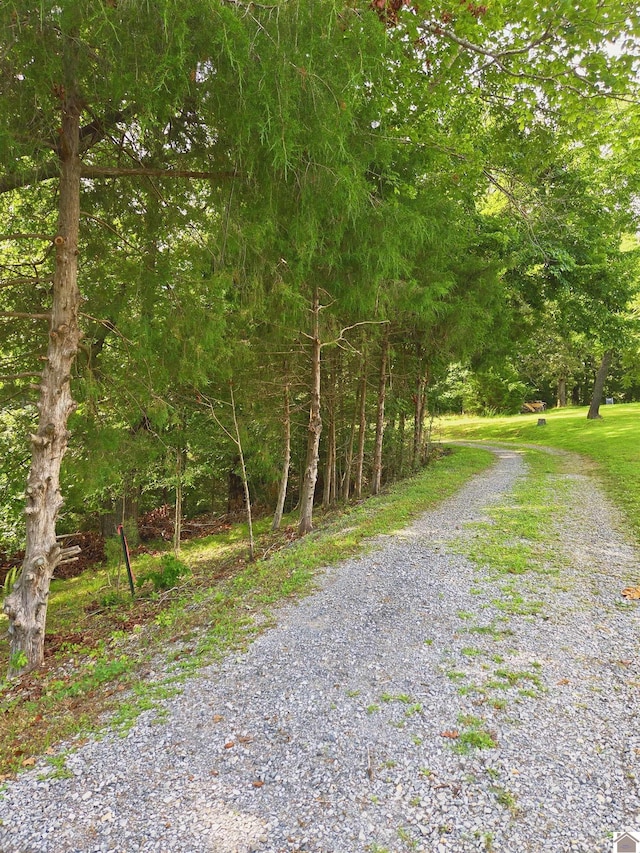 1040 Shine Ln, Cadiz, KY 42211 - view of dirt / gravel road