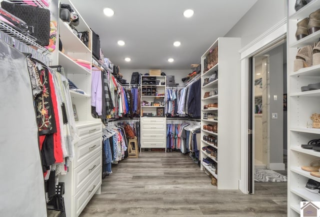 1 Logan Trl, Murray, KY 42071 - spacious closet featuring wood finished floors