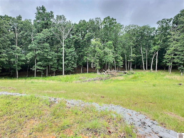27 Jordan Ln, New Concord, KY 42076