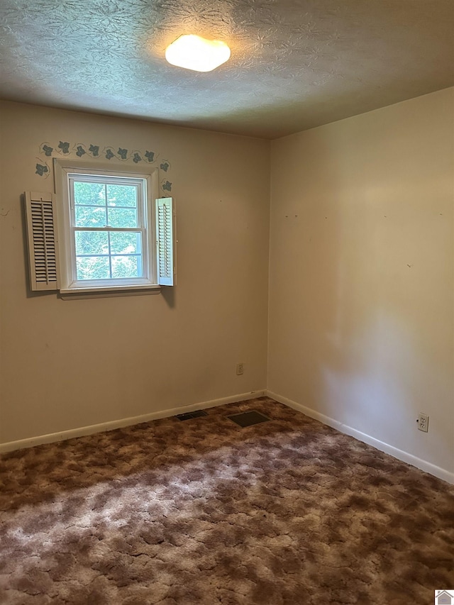 2153 Horace Barnes Rd, Calvert City, KY 42029 - empty room featuring dark carpet and a textured ceiling