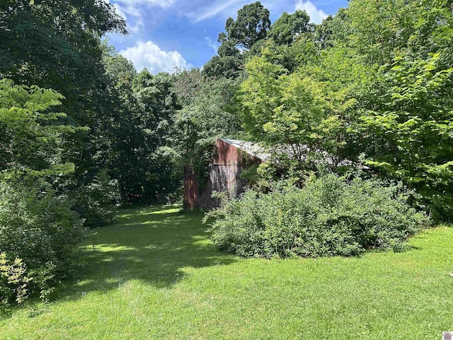 2153 Horace Barnes Rd, Calvert City, KY 42029 - view of grassy yard featuring a view of trees and an outdoor structure