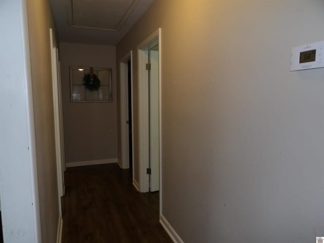 719 Elder St, Calvert City, KY 42029 - hall with dark wood-type flooring and baseboards