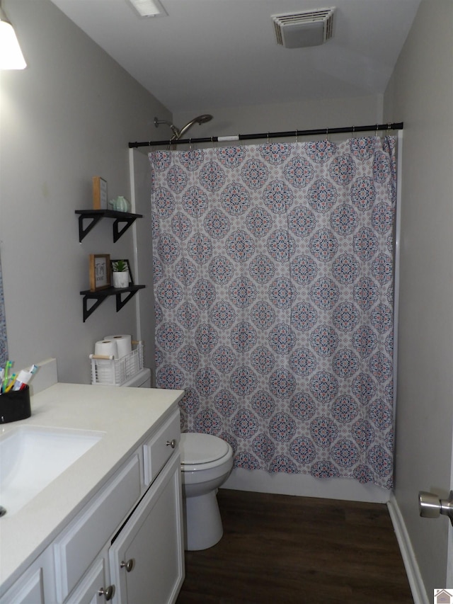 719 Elder St, Calvert City, KY 42029 - bathroom featuring wood finished floors, vanity, and a shower with curtain