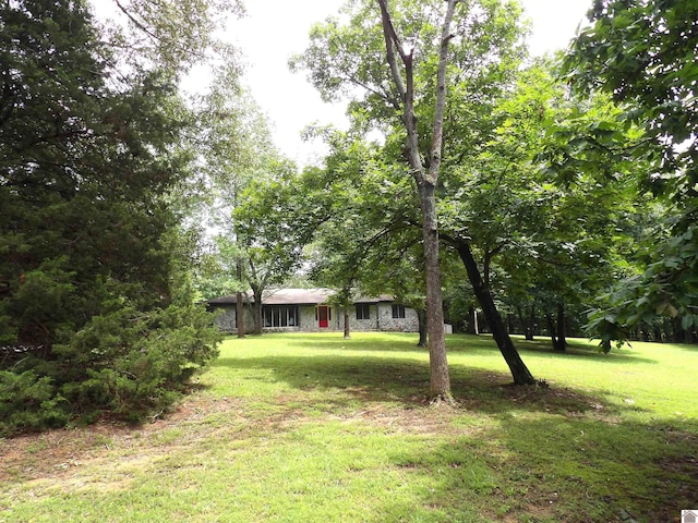 150 Sills Ln, Benton, KY 42025 - view of green lawn