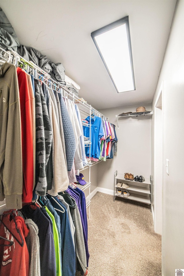 150 Sills Ln, Benton, KY 42025 - walk in closet with carpet floors