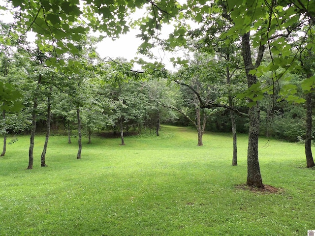 150 Sills Ln, Benton, KY 42025 - view of grassy yard