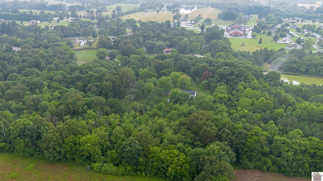 150 Sills Ln, Benton, KY 42025 - bird's eye view of a forest