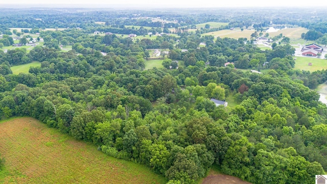 150 Sills Ln, Benton, KY 42025 - bird's eye view