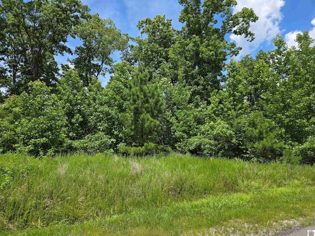 Anchor Road-, Lot Murray, KY 42071