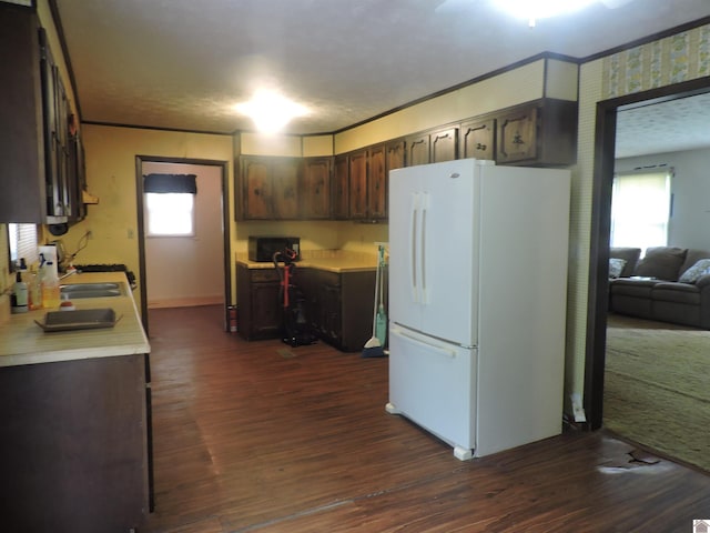 517 Milliken Rd, Paducah, KY 42003 - kitchen featuring freestanding refrigerator, light countertops, healthy amount of natural light, dark wood-style flooring, and ornamental molding