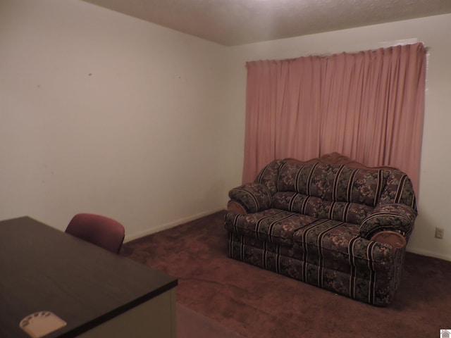 517 Milliken Rd, Paducah, KY 42003 - living area featuring carpet floors
