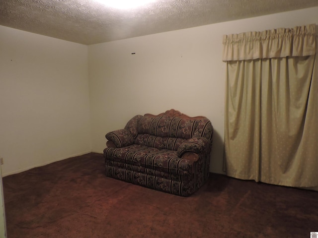517 Milliken Rd, Paducah, KY 42003 - sitting room with carpet floors and a textured ceiling