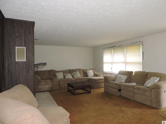 517 Milliken Rd, Paducah, KY 42003 - carpeted living area featuring a textured ceiling