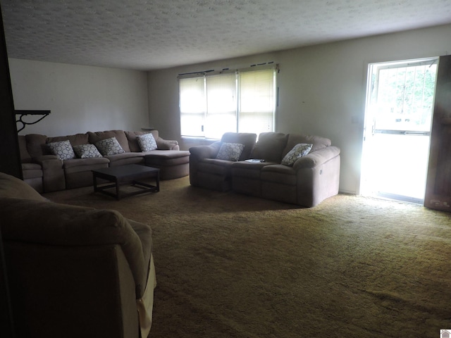 517 Milliken Rd, Paducah, KY 42003 - carpeted living room featuring healthy amount of natural light and a textured ceiling