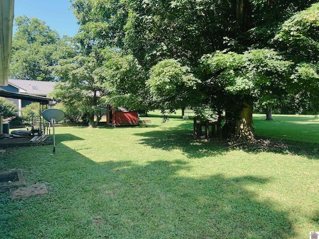 524 S Seminary St, Princeton, KY 42445 - view of grassy yard