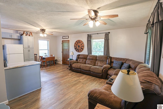 1715 State Route 80 W, Arlington, KY 42021 - living room featuring a ceiling fan, plenty of natural light, a textured ceiling, and light wood finished floors