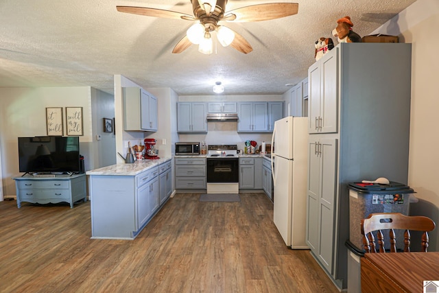 1715 State Route 80 W, Arlington, KY 42021 - kitchen featuring range with electric stovetop, freestanding refrigerator, stainless steel microwave, under cabinet range hood, and a textured ceiling