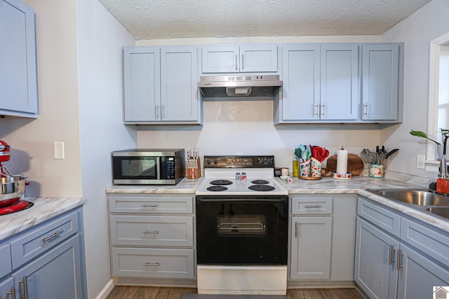 1715 State Route 80 W, Arlington, KY 42021 - kitchen with white electric stove, under cabinet range hood, stainless steel microwave, wood finished floors, and light countertops