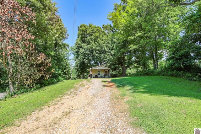 1715 State Route 80 W, Arlington, KY 42021 - view of green lawn with driveway
