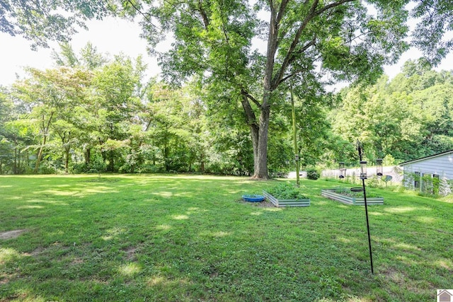 1715 State Route 80 W, Arlington, KY 42021 - view of grassy yard featuring a vegetable garden