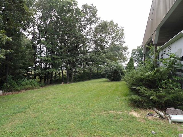 907 State Route 819 N, Kuttawa, KY 42055 - view of grassy yard