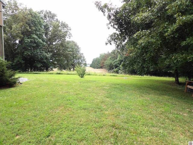 907 State Route 819 N, Kuttawa, KY 42055 - view of grassy yard