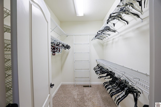 329 Royal Park Dr, Calvert City, KY 42029 - walk in closet featuring carpet flooring
