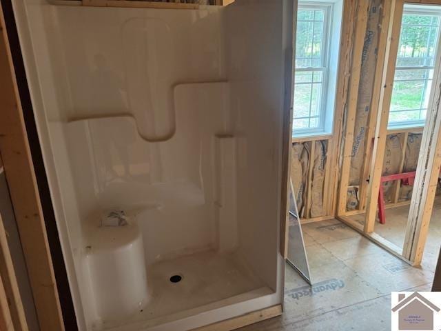 104 Water District Rd, Cadiz, KY 42211 - bathroom featuring plenty of natural light and walk in shower