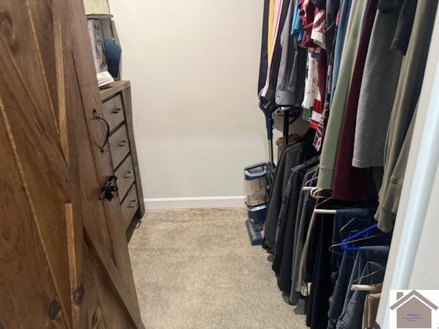 104 Water District Rd, Cadiz, KY 42211 - walk in closet featuring carpet