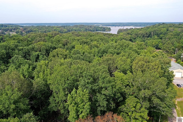 104 Water District Rd, Cadiz, KY 42211 - aerial view of a forest
