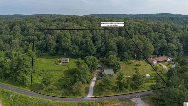 353 Creswell Rd, Princeton, KY 42445 - aerial view of property and surrounding area with a heavily wooded area and property boundaries highlighted