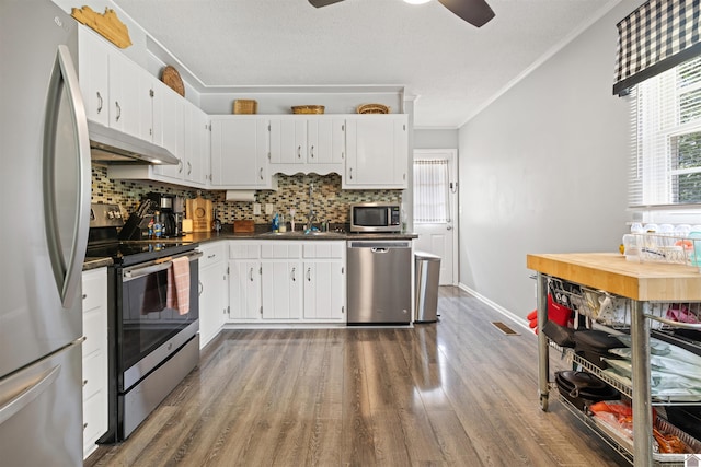 1333 Fairway Cir, Mayfield, KY 42066 - kitchen with stainless steel appliances, under cabinet range hood, dark countertops, decorative backsplash, and wood finished floors