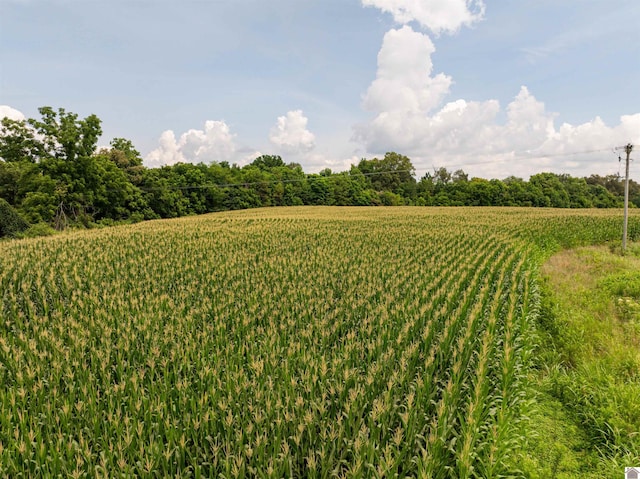 0 Boyd Rd, Wingo, KY 42088