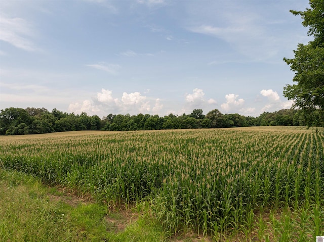 0 Boyd Rd, Wingo, KY 42088