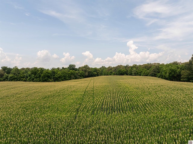 0 Boyd Rd, Wingo, KY 42088
