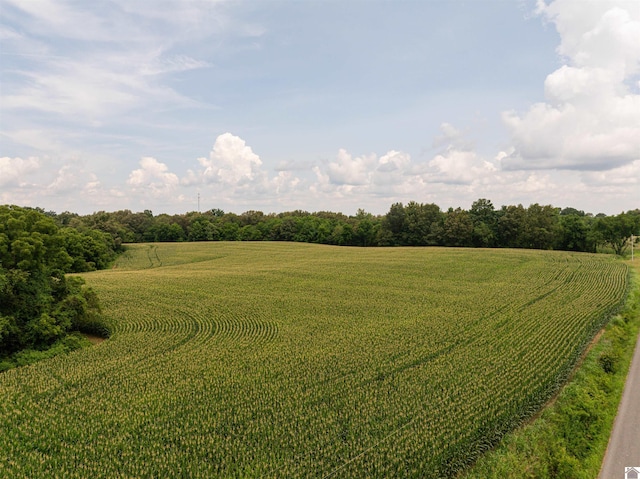 0 Boyd Rd, Wingo, KY 42088