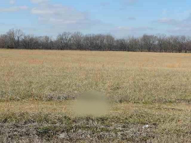 00 Ferren Rd, Ledbetter KY, 42058 land for sale