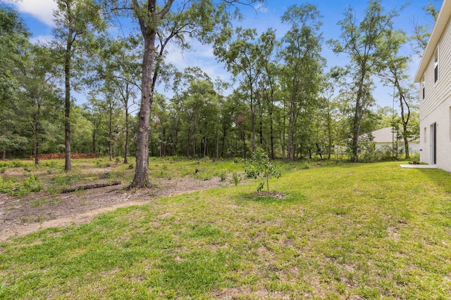 4820 Randolph St, Hastings, FL 32145 - view of grassy yard